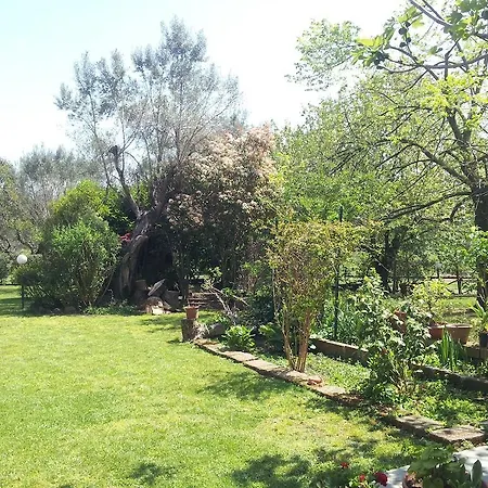 Antico Casale La Riccia Holiday House Tragliatella